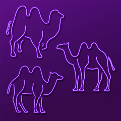 camel group of neon icons, vector illustration, on black background.