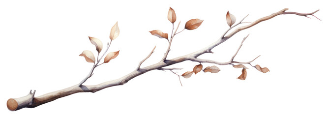 Fototapeta premium PNG Twig plant twig tree