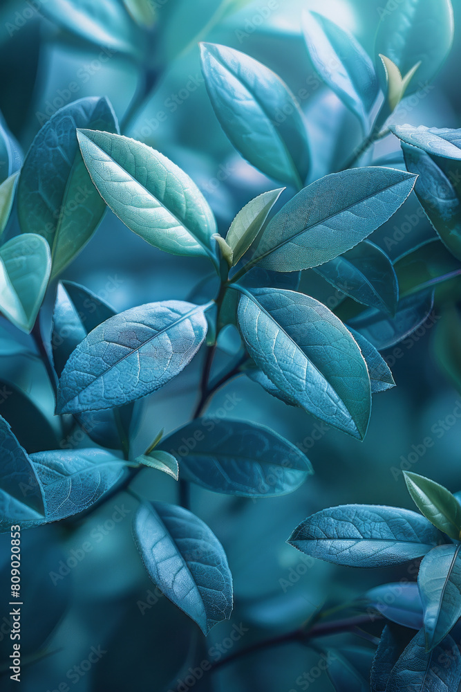 Poster an abstract depiction of tea leaves transitioning into soft, flowing ribbons of calming blues and gr