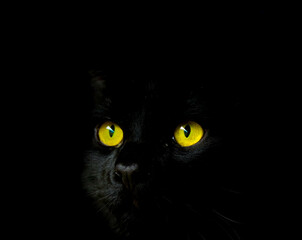 black cat eyes