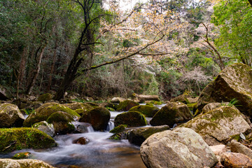 Obraz premium 豪渓の風景