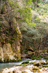 Fototapeta premium 豪渓の風景