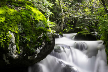 waterfall in the forest