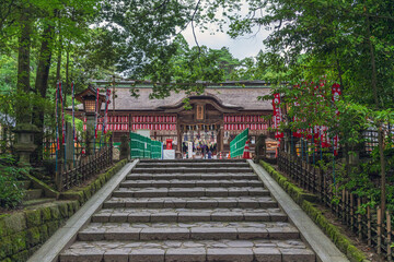 仙台 大崎八幡宮 夏の参道風景