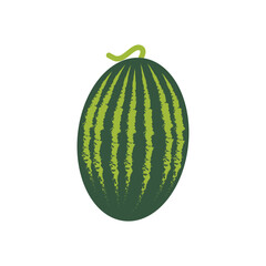 watermelon icon vektor