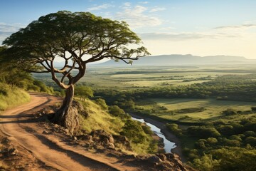 Mozambique landscape. Majestic Tree Overlooking Scenic River Valley at Sunrise.