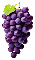 Fototapeta premium Grapes fruit plant food.