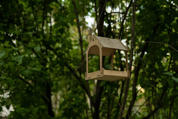 bird feeder