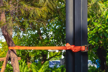Orange stark sling tied to pole and tree to control the growth of tree to keep upright. The tape...