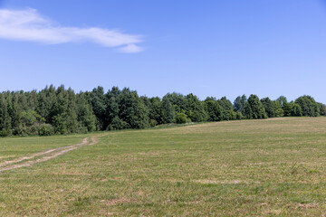 country road in the summer season