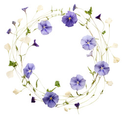 PNG Real pressed morning glory and flowers circle purple wreath
