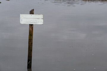 Small white, blank wooden sign board on a post in a calm pool of water.
