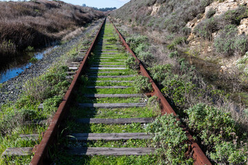 Abandoned railroad tracks leading in to the distance.