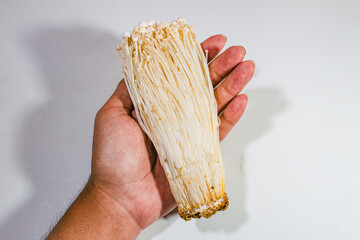 Fresh enoki mushrooms, served held in the left hand, on a plain white background