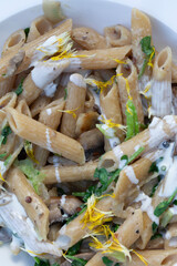 CLOSE UP ORGANIC PENNE PASTA WITH MUSHROOMS VEGAN OAT CREAM EDIBLE PETALS AND WATERCRESS 