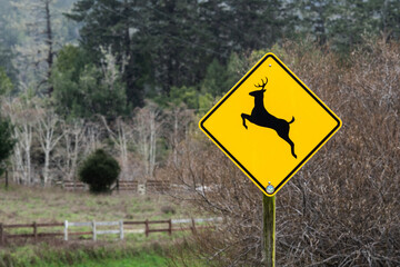 A yellow, road caution sign warning drivers of the presence of deer.