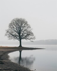 minimalist mighty oak standing strong, documentary style photography