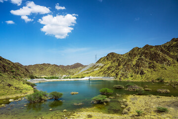 Natural Beauty of United Arab Emirates