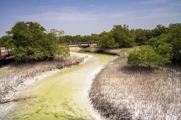 Natural Beauty of United Arab Emirates