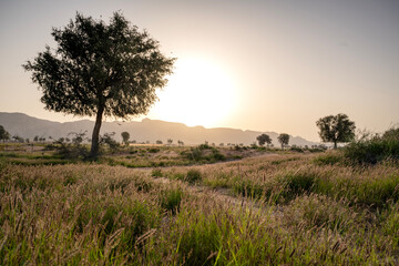 Natural Beauty of United Arab Emirates