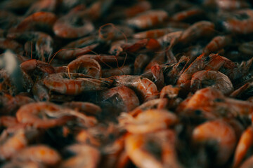 shrimps