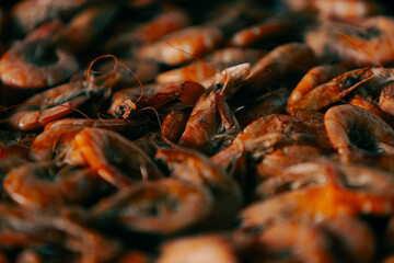 shrimps