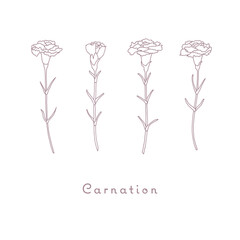 カーネーションのベクターイラスト