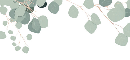 Obraz premium PNG Eucalyptus frame backgrounds pattern plant