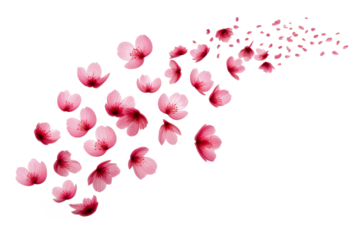 pink petal flower flying floating on white or transparent png background 