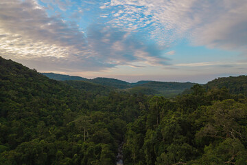Aerial top view forest tree or Rainforest ecosystem and healthy environment concept background.