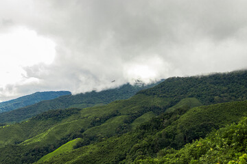 Obraz premium View of the green mountains at Thailand.