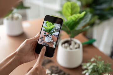Hobby, young woman hand using mobile phone taking photo of pot, houseplant with dirt soil on table at home