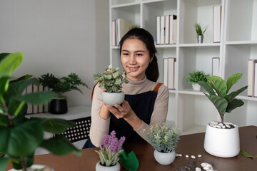 Young Asian woman smiling friendly holding flower pot with green plant house and looking in living room. Concept of home garden. Taking care of home plants