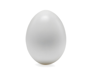 White egg isolated on white background. with clipping path, focus stacking