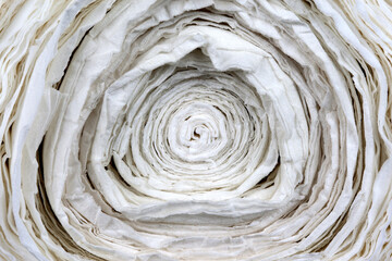 A sloppily wound roll of toilet paper, a scene familiar to anyone who finds themselves in a...
