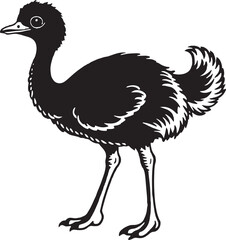 Emu - black and white vector illustration