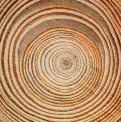 round wood textured background for decoration