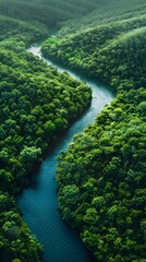 Lush Green Forest Ravine with Winding River in Aerial Panoramic View