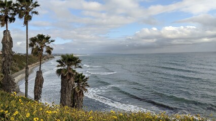 Southern California beach scenics with sunsets, surfers, tide pools and palms trees at Swamis Reef...