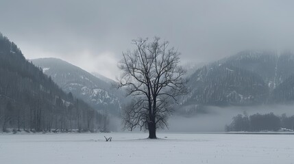   A solitary tree stands in the midst of a snow-covered field, facing a mountain shrouded in fog