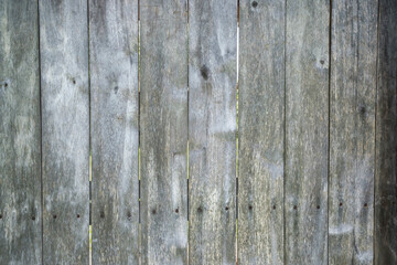 Old wood texture. Wooden surface background. Grunge wood texture