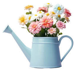 PNG Watering can with flowers asteraceae blossom pottery