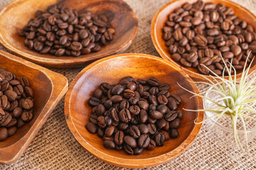 コーヒー豆　ロブスタ種とアラビカ種