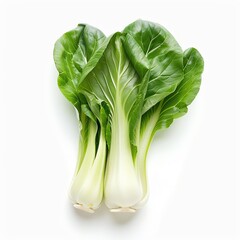 A photo of a bunch of bok choy on a white background. The bok choy is fresh and green, with a white stem.