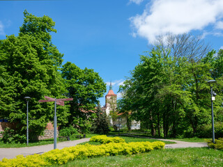 Park w Olsztynie. Katedra.