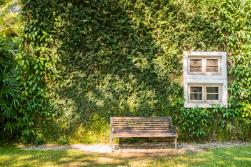 Wooden bench and House building covered with green ivy.