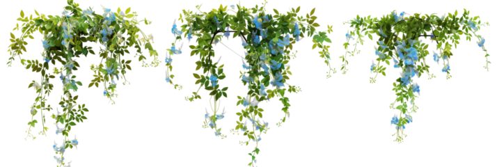 set of hanging creepers with tiny blue flowers, ideal for decorating garden arches, isolated on transparent background
