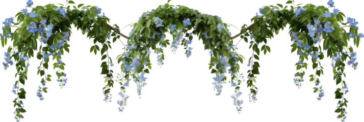 set of hanging creepers with tiny blue flowers, ideal for decorating garden arches, isolated on transparent background