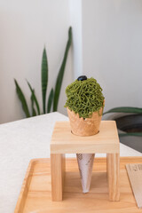 Montblanc Matcha green tea icecream in waffle cone.Matcha soft serve in famous Korean or...