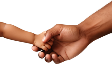 PNG Hand of an adult man and child holding each other hand person human